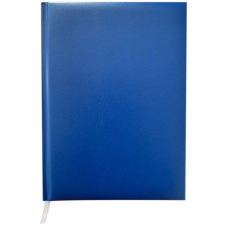 Ежедневник недатированный MASTER, A5, клетка, синий (BM.2003-02)