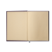 Ежедневник недатированный DAISY, A5, вишневый (BM.2044-44)