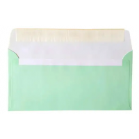 Конверт DL(E65) СКЛ пастельно-м'ятний 80г/м 2240_573 з внутр. друком  /2240_573/