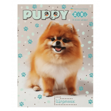 Щоденник шкільн. ZiBi SMART Line 13121 40 арк. CUTE PUPPY, м'яка обкл. /ZB.13121/