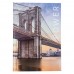 Книга канц. тв.пал. А4  96арк # офс. AXENT 8422-567-A Power (10) /8422-567-A/