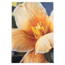 Книга канц. тв.пал. А4 192арк # офс. AXENT 8423-27-A Flora, жовта /8423-27-A/