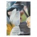 Книга канц. тв.пал. А4 192арк # офс. AXENT 8423-27-A Flora, жовта /8423-27-A/