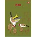 Книга канц. А4  48арк # офс. YES 681930 Avifauna (3) /681930/