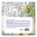 Розмальовка-антистрес SANTI "Дивовижний ліс", 10арк. /742912/