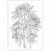 Розмальовка-антистрес SANTI "Флористика", 6арк. /743058/
