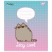 Зошит  12арк. = YES 766951 Pusheen (25)