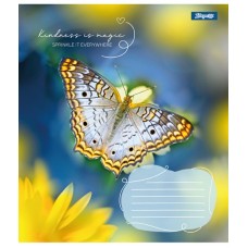 Зошит  36арк. # 1ВЕРЕСНЯ 767323 Butterfly (15) /767323/