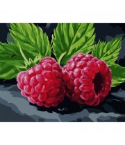 Картина за номерами з алмазною мозаїкою SANTI Соковита малина, 40*50 см.