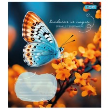 Зошит  48арк. = 1ВЕРЕСНЯ 767376 Butterfly (10)