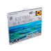 Картина-розмальовка по номерах ZiBi ART Line 64145 "Квітка сонця" (полотно 40*50см, фарби, пензлики) /ZB.64145/