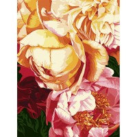 Картина-розмальовка по номерах SANTI "Аромат півонії" (полотно 40*50см, фарби, пензлики) /854521/