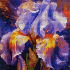 Алмазна мозаїка SANTI 954911 "Яскравий ірис" 40*40см, на підрамнику /954911/