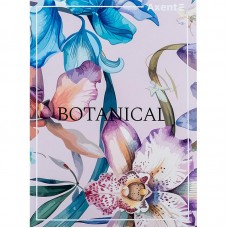 Книга канц. А4  96арк # офс. AXENT 4782-8 Botanical /4782-8-A/