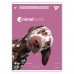 Зошит для записів Yes Animalbook 48 А4 аркушів клітинка