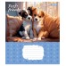 Зошит  12арк. # 1ВЕРЕСНЯ 768066 Pets Frinds (25) /768066/
