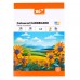 Картон кольоровий А4 10арк. 10кольорів YES 954895 Orange Line (25) /954895/