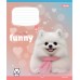 Зошит  12арк. # 1ВЕРЕСНЯ 768208 Funny Pets (25) /768208/