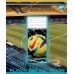 Зошит  36 аркушів = YES 767750 Football stadium (15) /767750/