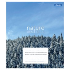 Зошит  48арк. # 1ВЕРЕСНЯ 768104 Nature aesthetics (10) /768104/