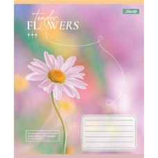 Зошит  24арк. # 1ВЕРЕСНЯ 768076 Tender Flowers (20) /768076/