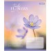 Зошит  24арк. # 1ВЕРЕСНЯ 768076 Tender Flowers (20) /768076/