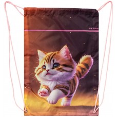 Сумка для взуття CLASS 2535C Kitty /2535C/