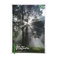 Книга канц. тв.пал. А4  80арк # офс. YES 152033 Nature /152033/