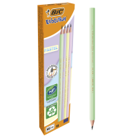 Олівець графітовий BIC Evolution Pastel HB, пластиковий (12) /bc518307/