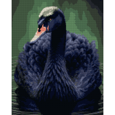 Алмазна мозаїка SANTI Чорний лебідь, 40*50см на підрамнику