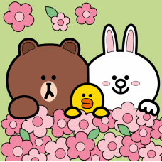 Картина по номерам SANTI Лайн Френдс Браун Салли и Кони в цветах 25х25см