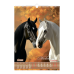 Календар настінний перек. BUROMAX 210601, А3 (на пружині) Horses 2026р. (10) /BM.210601/