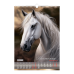 Календар настінний перек. BUROMAX 210601, А3 (на пружині) Horses 2026р. (10) /BM.210601/