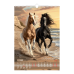 Календар настінний перек. BUROMAX 210601, А3 (на пружині) Horses 2026р. (10) /BM.210601/