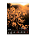 Календар настінний перек. BUROMAX 210605, А3 (на пружині) Wild flowers 2026р. (10) /BM.210605/