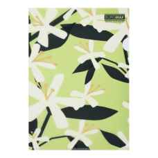 Папка-кутик BUROMAX 3854-15 ARABESKI салатова (12) /BM.3854-15/