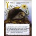 РАНОК АРТ Книга "Живий світ України" 
