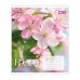 Зошит  36 аркушів = YES 768793 Flora (15) /768793/