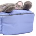 Рюкзак дитячий YES 550443/K-34XS My kitty /550443/