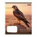 Зошит  48 аркушів = 1ВЕРЕСНЯ 769131 Into the wild (10) /769131/