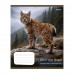 Зошит  48 аркушів = 1ВЕРЕСНЯ 769131 Into the wild (10) /769131/