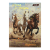 Щоденник шкільний ZiBi KIDS Line 13765-01 40 аркушів NIGHT HORSE, тверда обкладинка /ZB.13765-01/