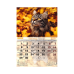 Календар настінний перек. BUROMAX 210301, 33х48см Коти 2027р. (20) /BM.210301/