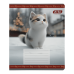 Зошит  12арк. # ZiBi 1753 CATS (25) /ZB25.1753K/