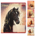 Зошит  24арк. # ZiBi 1770 HORSES (20) /ZB25.1770K/