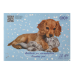 Альбом для малювання 12арк. ZiBi KIDS Line 1415-14, на скобі, "PETS" блакитний (8) /ZB.1415-14/