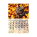 Календар настінний перек. BUROMAX 210301, 33х48см Коти 2027р. (20) /BM.210301/