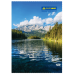 Книга канц. тв.пал. А4  96арк # газ. BUROMAX 2430 (8), /BM.2430/