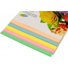 Папір кольоровий 80г/м, А4 5кол./20шт./100арк. паст. SPECTRA-Rainbow Pack Light IT 82 T /16.4245/