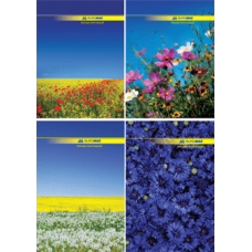 Книга канц. тв.пал. А4  96арк # офс. BUROMAX 2400 (8), /BM.2400/